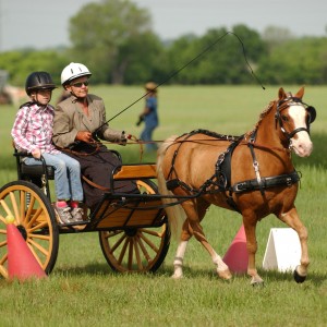 Karen Gorham United States Para-Equestrian Driving