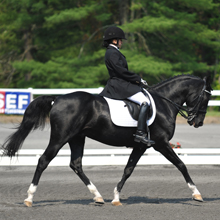 Wendy Fryke and Lateran at 2012 USEF Para-Equestrian Dressage National Championship/ Paralympic Selection Trials by Lindsay Yosay McCall