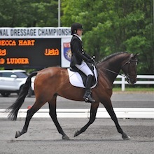 RebeccaHart and LordLudger at 2012 USEF Para-Equestrian Dressage National Championship/ Paralympic Selection Trials by Lindsay Yosay McCall